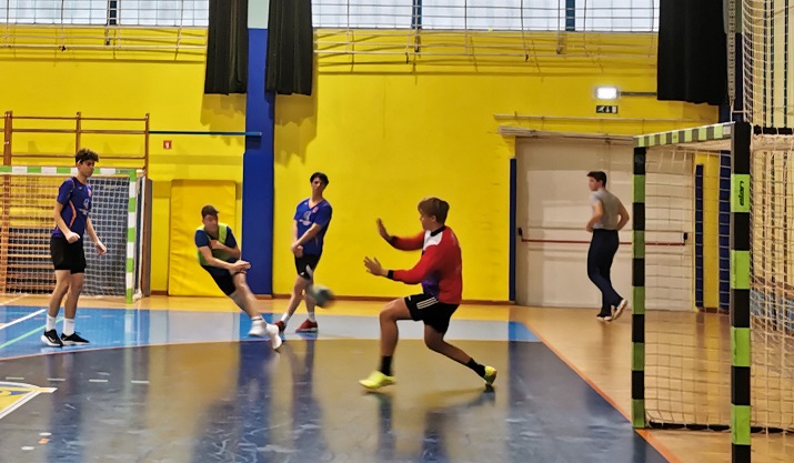 Področno tekmovanje v rokometu